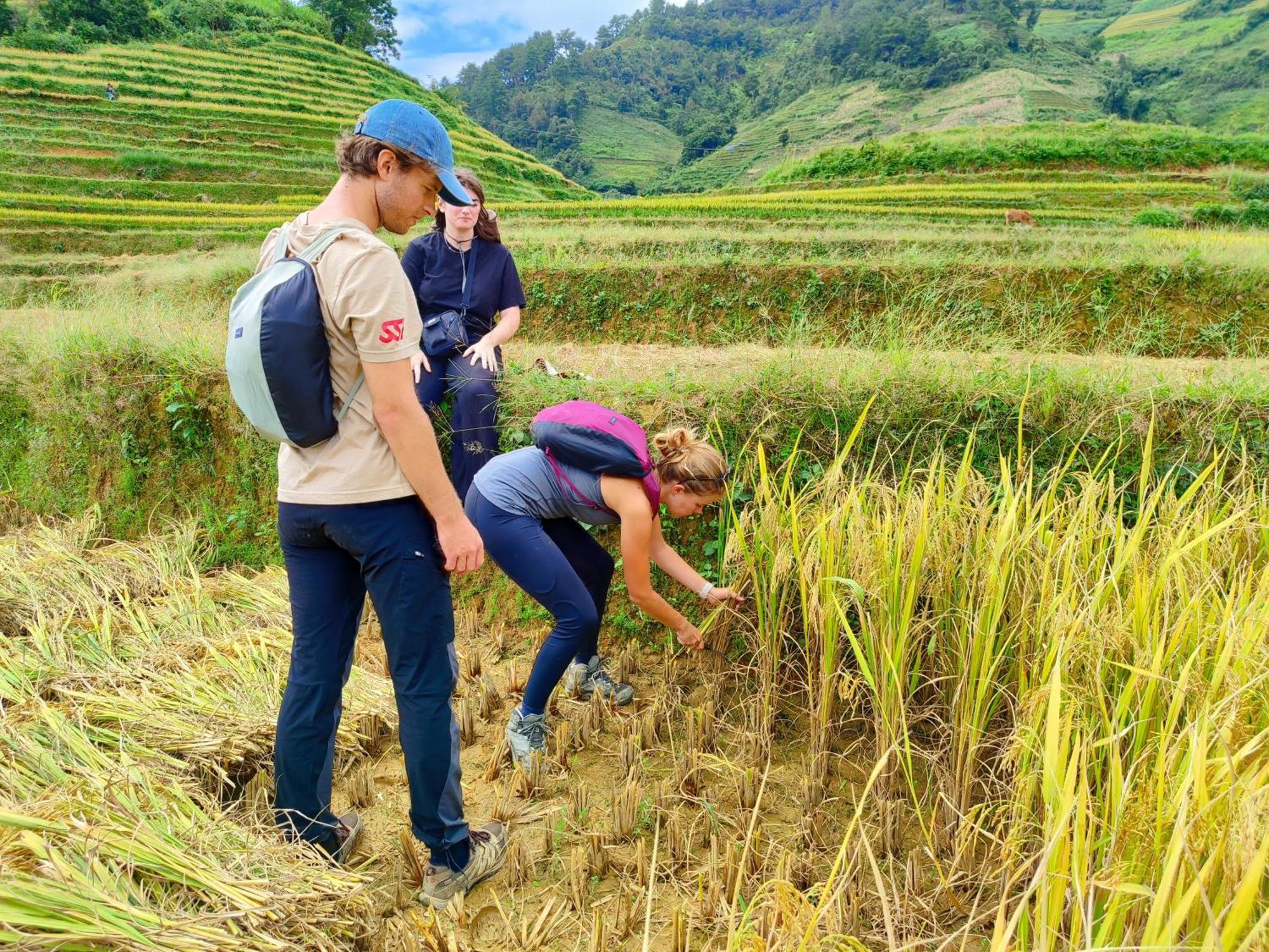 Mu Cang Chai Homestay & Trekking Kültér fotó
