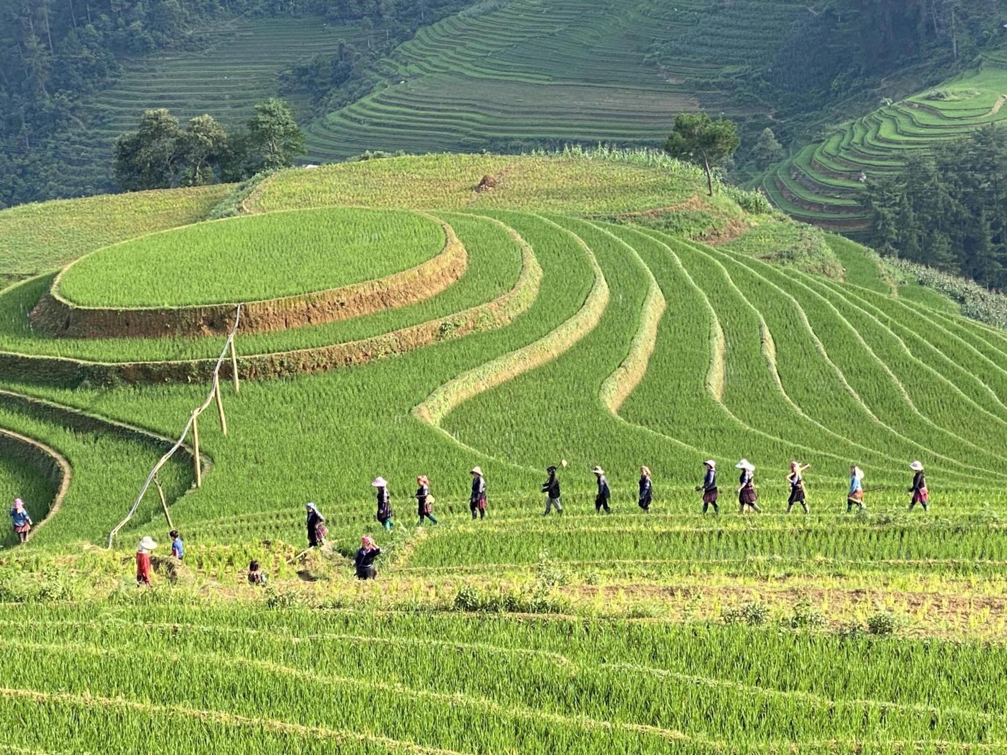 Mu Cang Chai Homestay & Trekking Kültér fotó