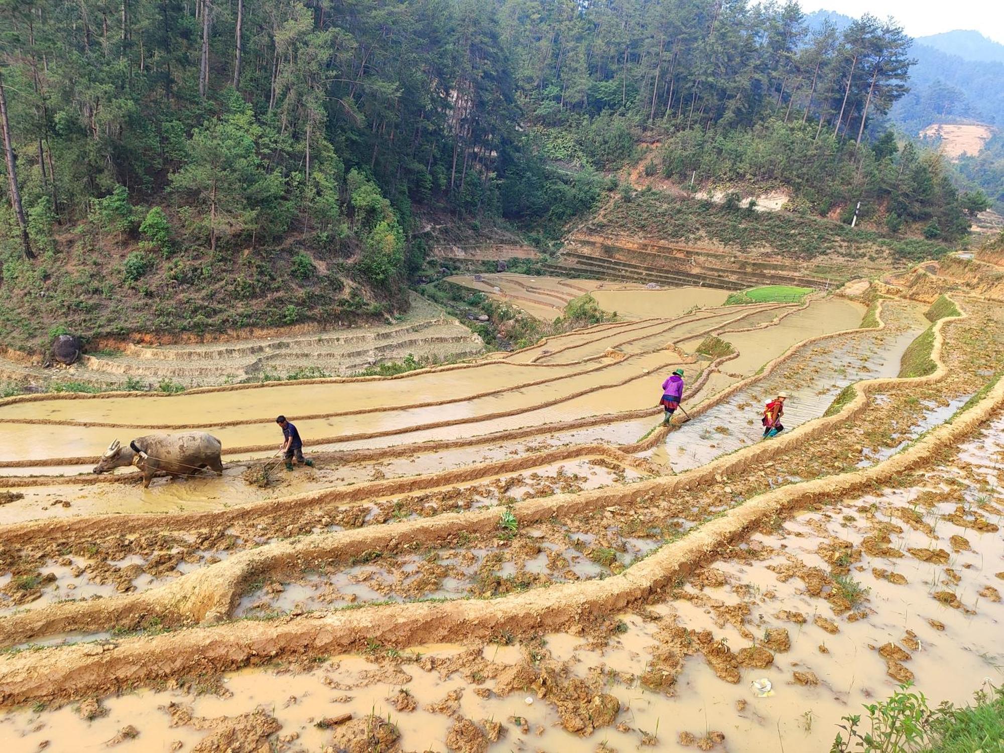 Mu Cang Chai Homestay & Trekking Kültér fotó